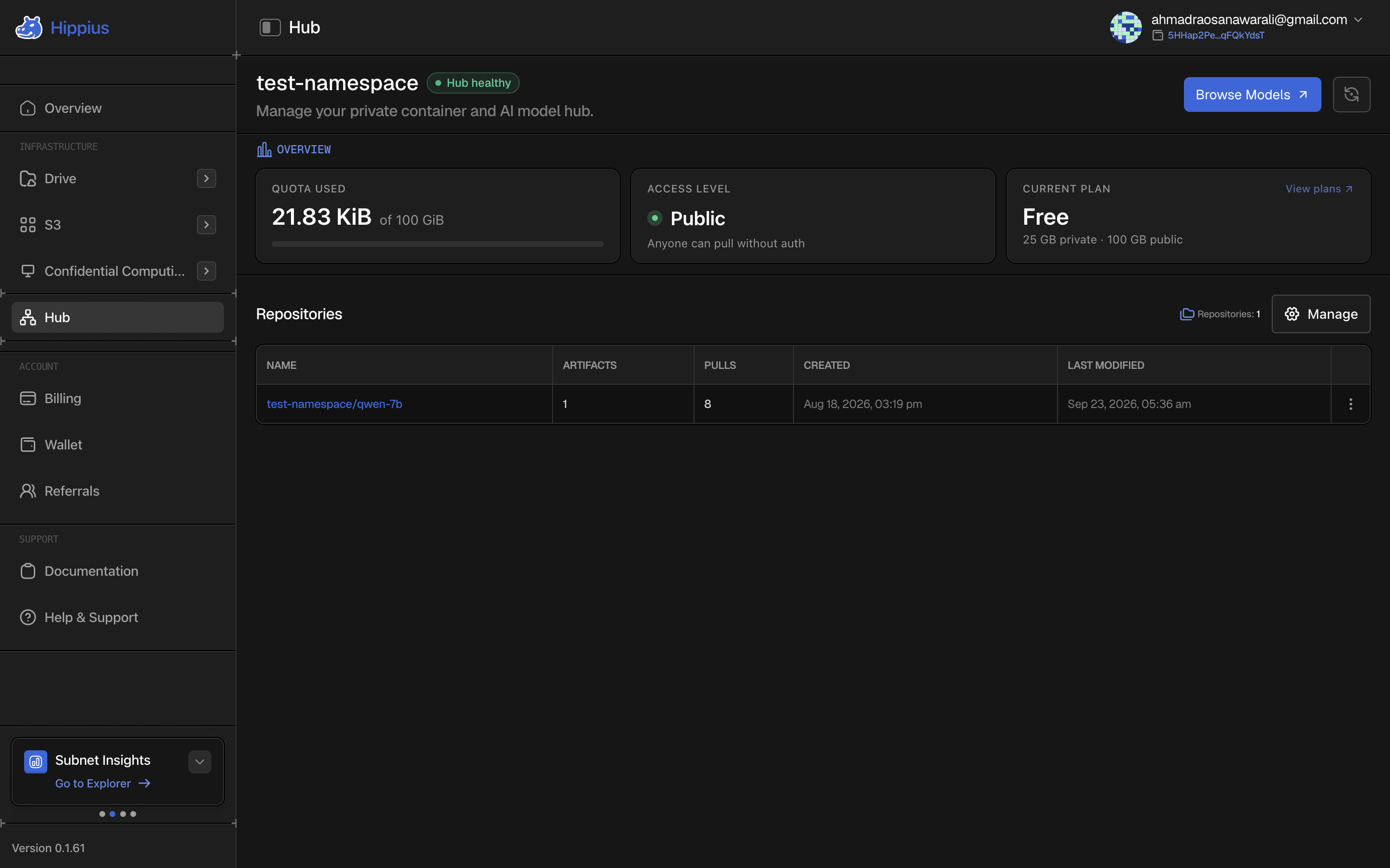 The Hub page in the Hippius Console