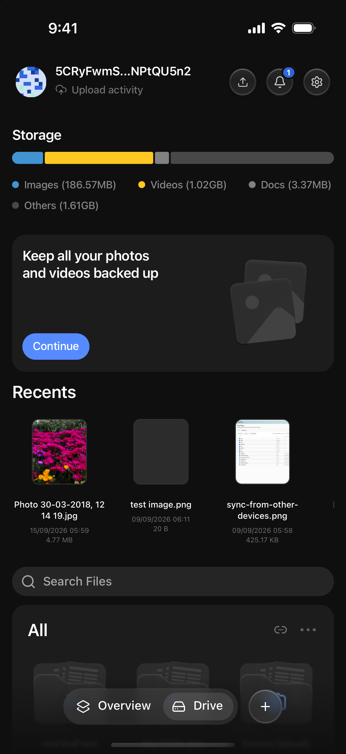 The Drive screen listing files and folders