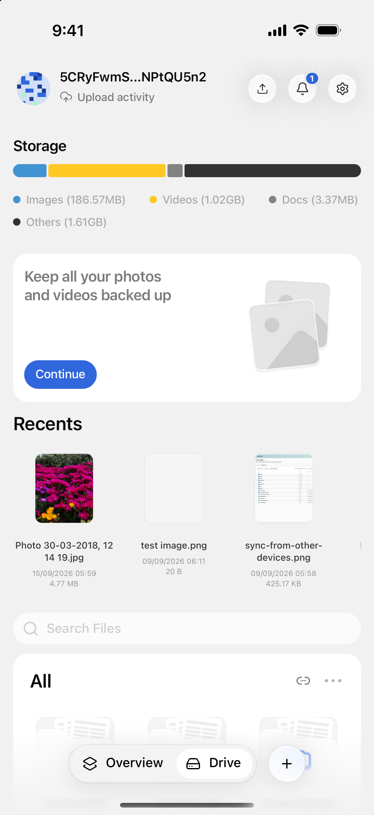 The Drive screen listing files and folders