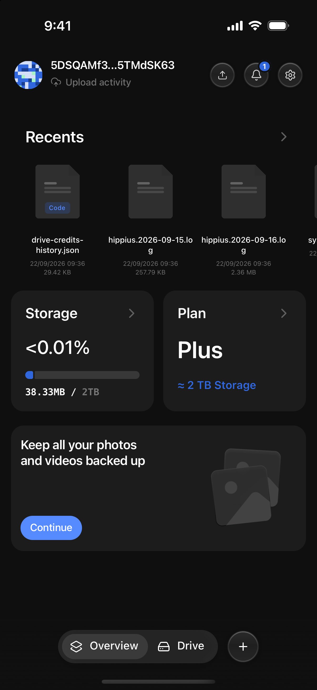 The plan card on the Overview screen