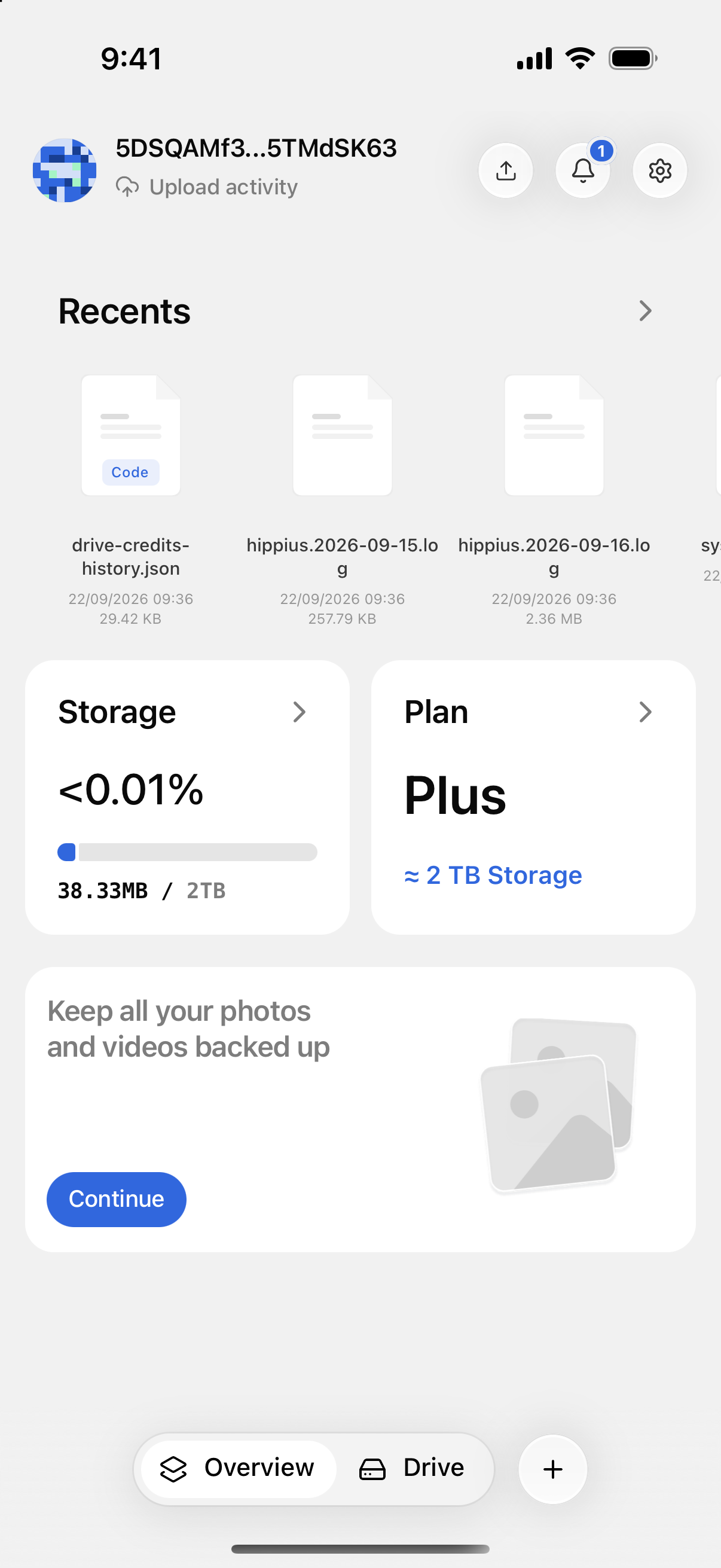 The plan card on the Overview screen