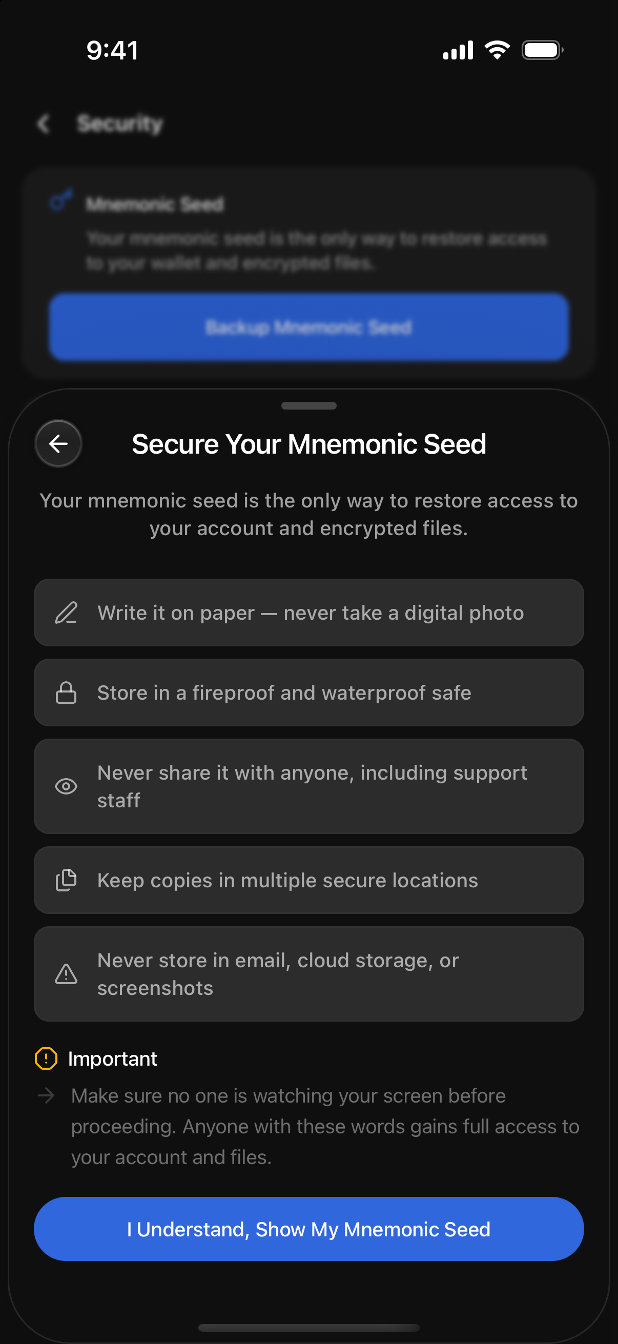 Secure Your Mnemonic Seed step with handling tips